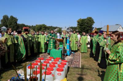 Рязанский архипастырь возглавил молебен на родине благоверной княгини Февронии
